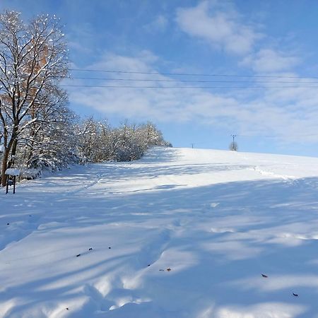 Doudleby U Ceskych Budejovic Dış mekan fotoğraf