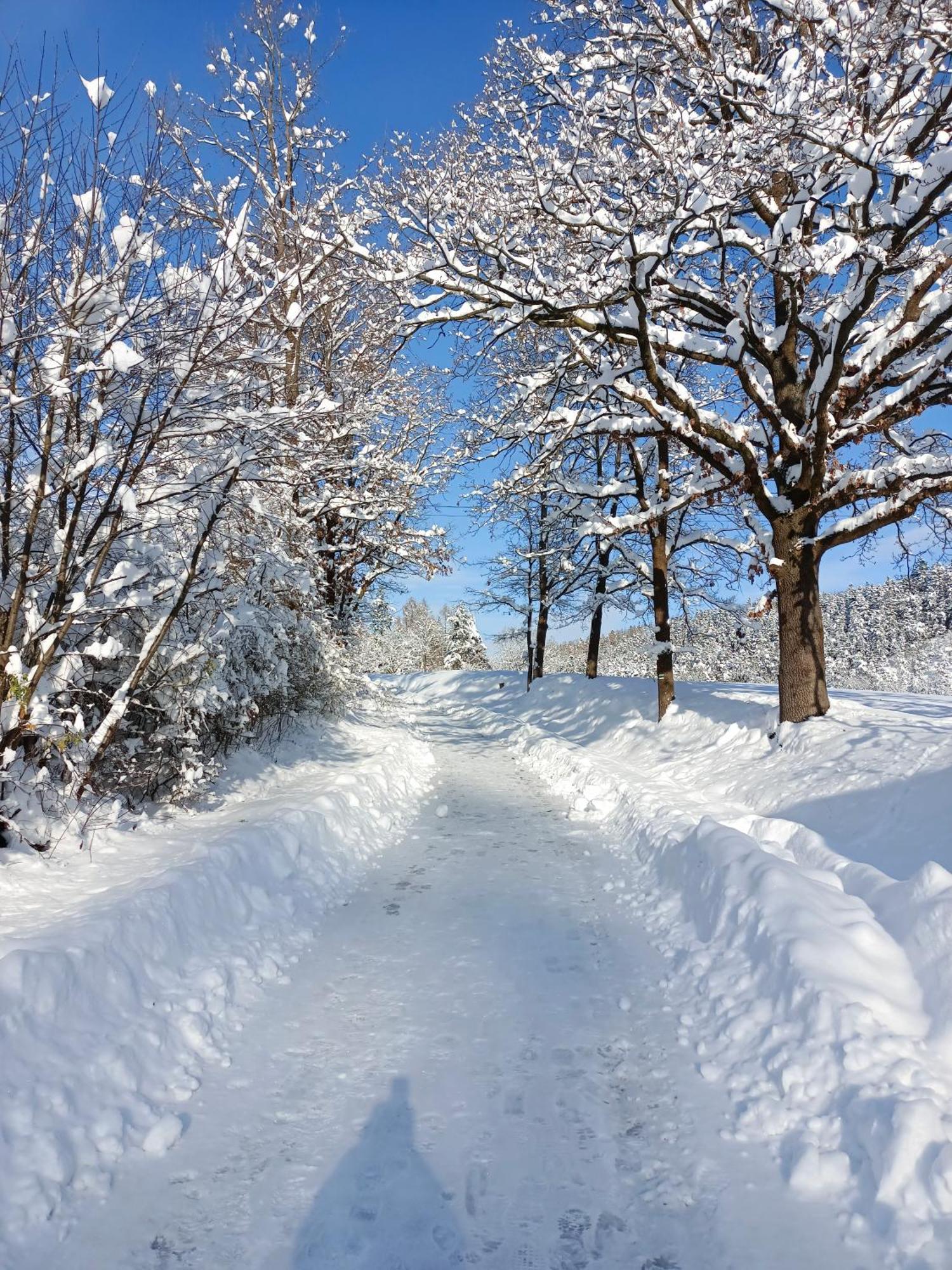 Doudleby U Ceskych Budejovic Dış mekan fotoğraf